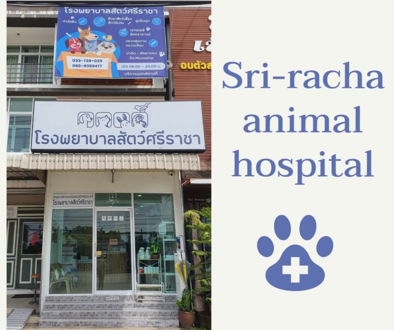 โรงพยาบาลสัตว์ศรีราชา Sri-racha animal hospital